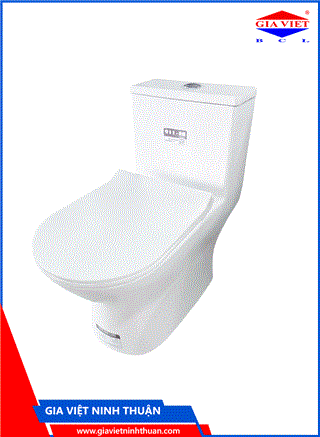 Bàn cầu 1 khối BS-119 – Basic