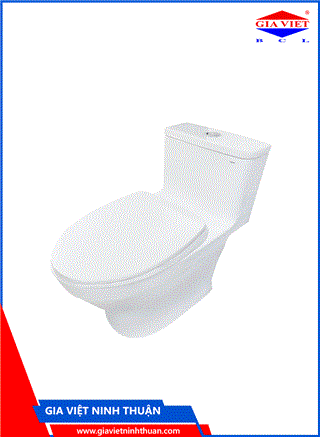 Bàn cầu một khối MS857DT10 – TOTO
